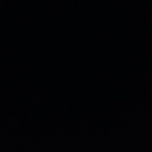 Meet your Posher, Dominique